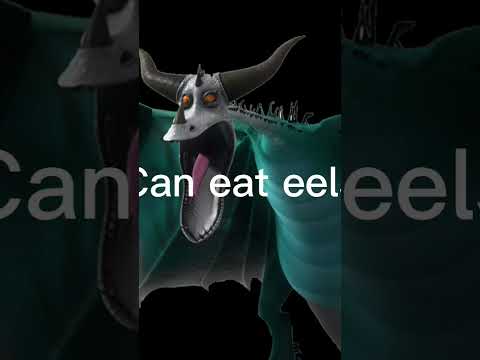 Typhoomerang vs timberjack