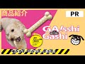 【pr商品紹介】🐶ドギーマン　 ガッシガシ