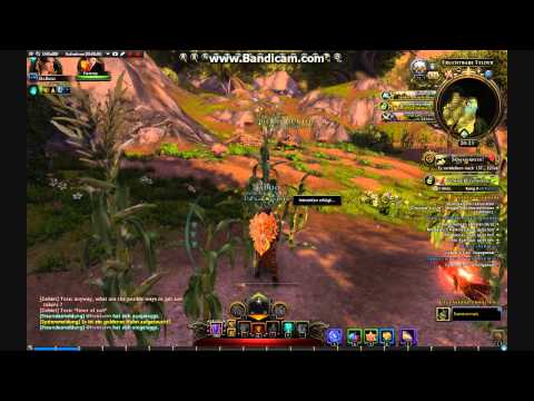 Neverwinter Sommerfest 003