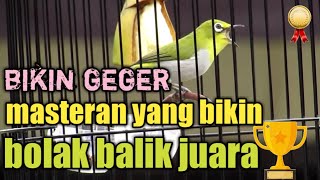 Download lagu Masteran pleci NEMBAK ZIPPER yang bikin juara mp3