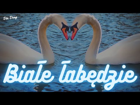 Arek Kopaczewski - Białe łabędzie (z rep. DIN DONG) [Studio Video] 1995