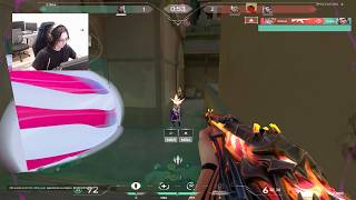 florescent Reyna Lotus 40 KILLS