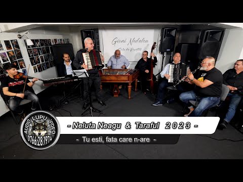 Neluta Neagu - Tu esti fata care n-are - (Fulgerica, Cristinel, Bebe, Marius, Vali & Argintu viu)