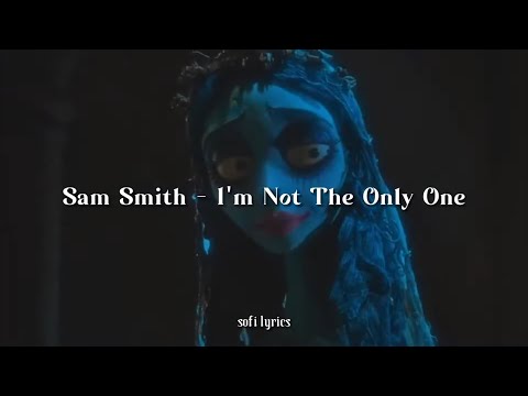 I'M Not The Only One - Sam Smith (Lyrics/Letra)
