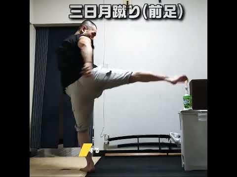 タメ要らず❗ 古術起動《浮身−吊腰》三日月蹴り(前足) vs 蝋🔥燭 #shorts