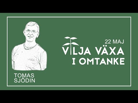 Gudstjänst | Vilja Växa - i omtanke | Tomas Sjödin