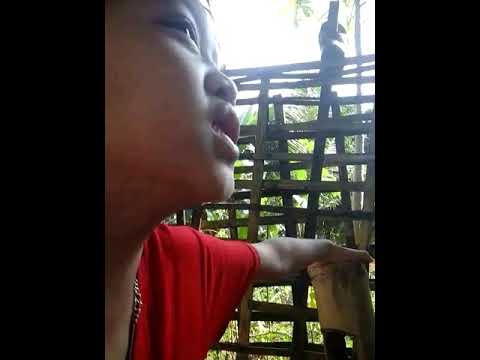 download lagu mp3 mp4 Sin Loi, download lagu Sin Loi gratis, unduh video klip Sin Loi