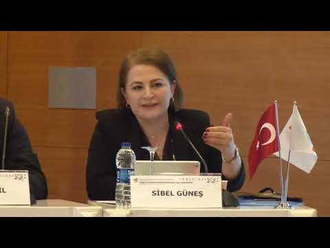 09 Panel 3 (6. Türkiye EKMUD Bilimsel Platformu)