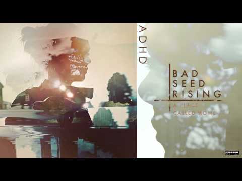 Bad Seed Rising - ADHD (Audio)