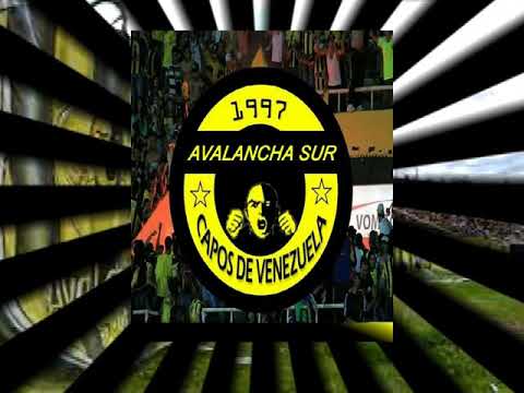 "ESTOY ENAMORADO DE TÃCHIRA // CÃNTICOS AURINEGROS // AVALANCHA SUR 1997 //" Barra: Avalancha Sur &bull; Club: Deportivo Táchira