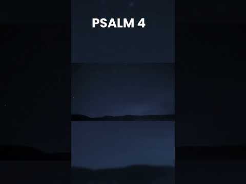 Witness21  2022 11 24