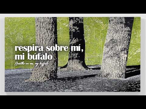 Alt-J (Δ) ft. Mountain Man - Buffalo | ESPAÑOL/INGLÉS