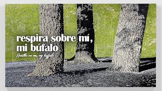 Alt-J (Δ) ft. Mountain Man - Buffalo | ESPAÑOL/INGLÉS