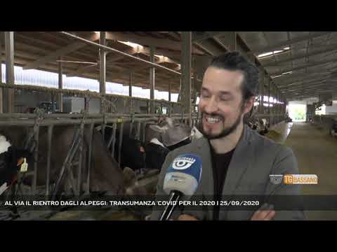 AL VIA IL RIENTRO DAGLI ALPEGGI: TRANSUMANZA 'COVID' PER IL 2020 | 25/09/2020