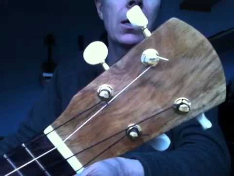 Tenor ukulele in tazmanian blackwood