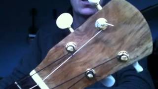 Tenor ukulele in tazmanian blackwood