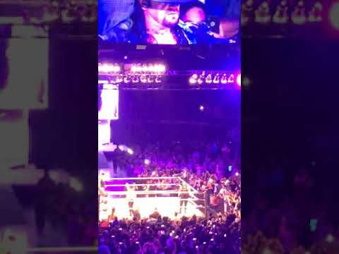 Undertaker back at msg