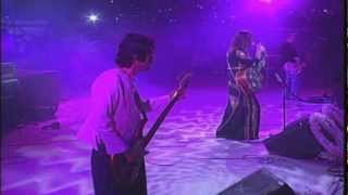 Aterciopelados   Maligno en vivo  Festival Internacional Cervantino 2001