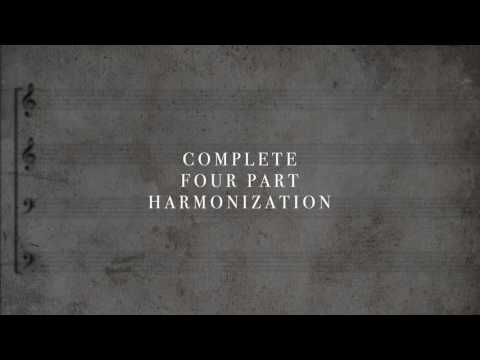 149  Nicht so traurig, nicht so sehr, BWV 384   Isolated Soprano Part