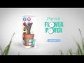 Parrot Flower Power Sensor Video #1
