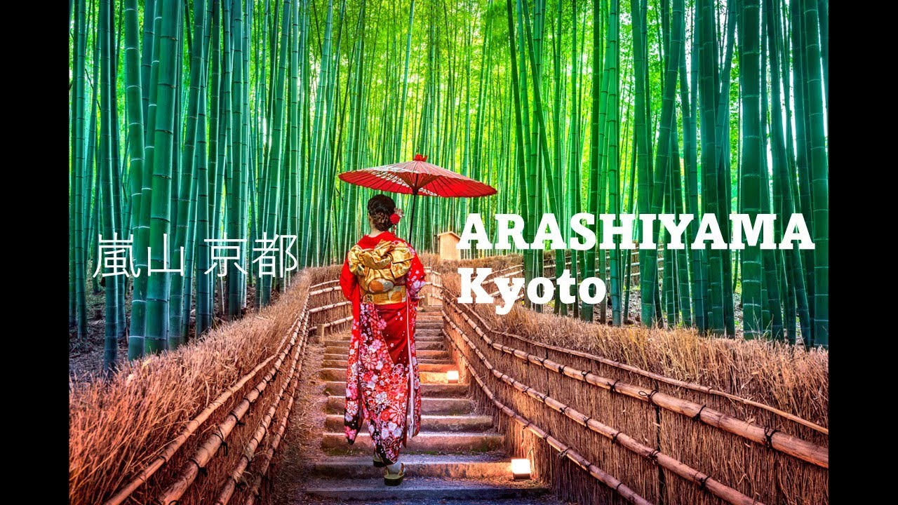 Embark on an enchanting walking tour through the surreal Arashiyama Bamboo Forest.