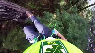 The Lost Firs of Chuckanut