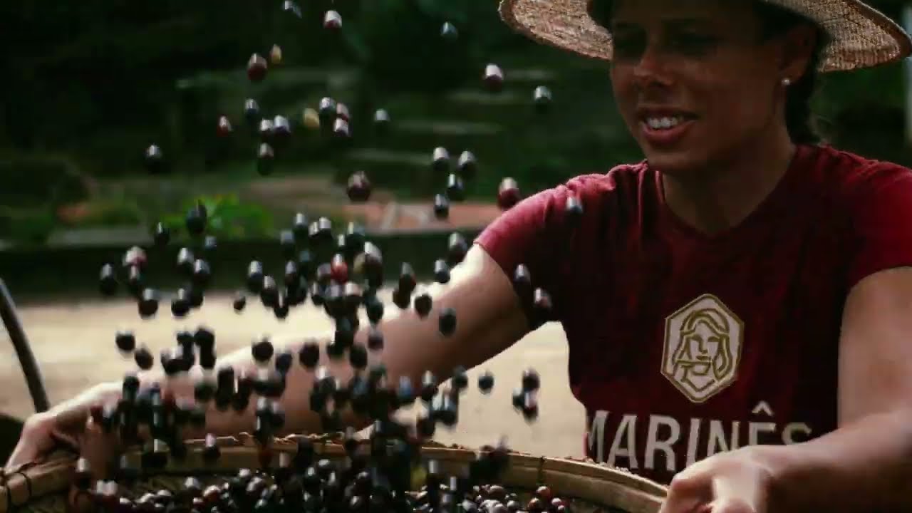 O caminho do café