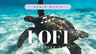 LoFi 深海 BGM 40分の海の旅 睡眠導入用BGM