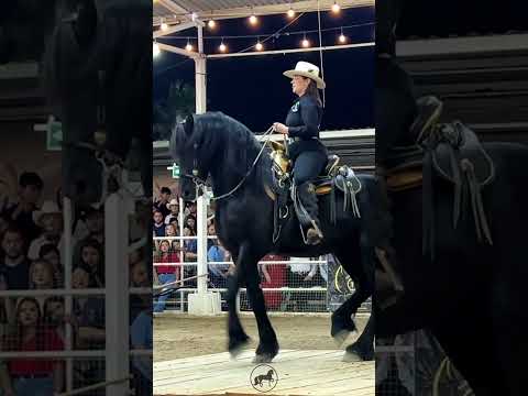 ⭐️Mujeres de a caballo!
