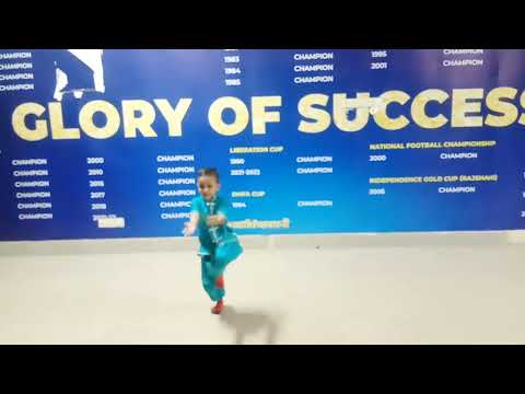 "CHANGQUAN"WUSHU ElEMENTARY ROUTINE TAOLU  (GROUP C)