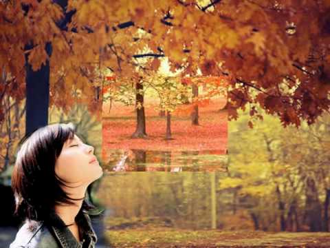 Lời tình đầu tiên Sheet - Thanh Ngọc