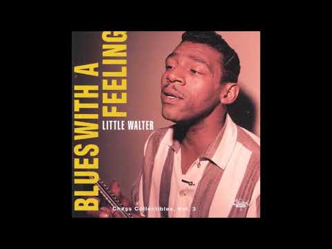 Thumbnail for Little Walter - Mean Old Frisco (alternate take) by Luther Tucker