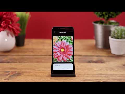 Alcatel AVALON V - How To: Google Lens