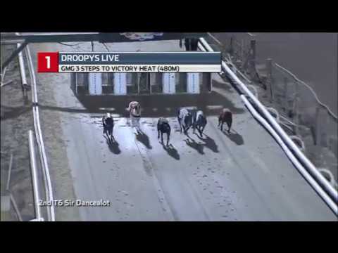 2018 THREE STEPS - HEAT 6 - T1 DROOPYS LIVE