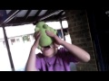 frog Attack