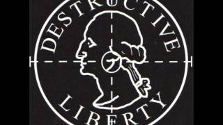 Destructive Liberty - Kids From Hell