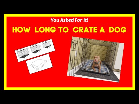 How long is too long in crate to leave a dog in a crate?  Crate Train