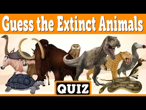 Guess the Extinct Animals Quiz | Prehistoric Animals Quiz for Kids