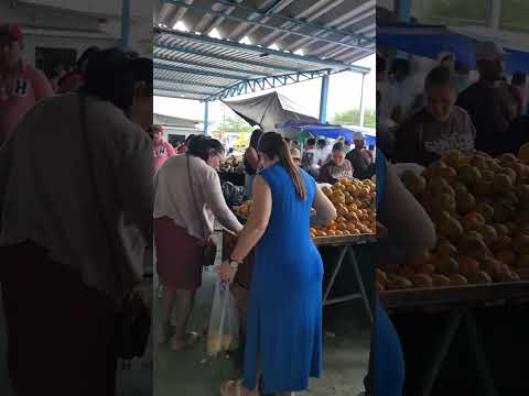 FEIRA LIVRE DA CIDADE DE NOVA FÁTIMA BAHIA