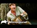 Floridamaxxing The Crocodile Hunter Animal Planet