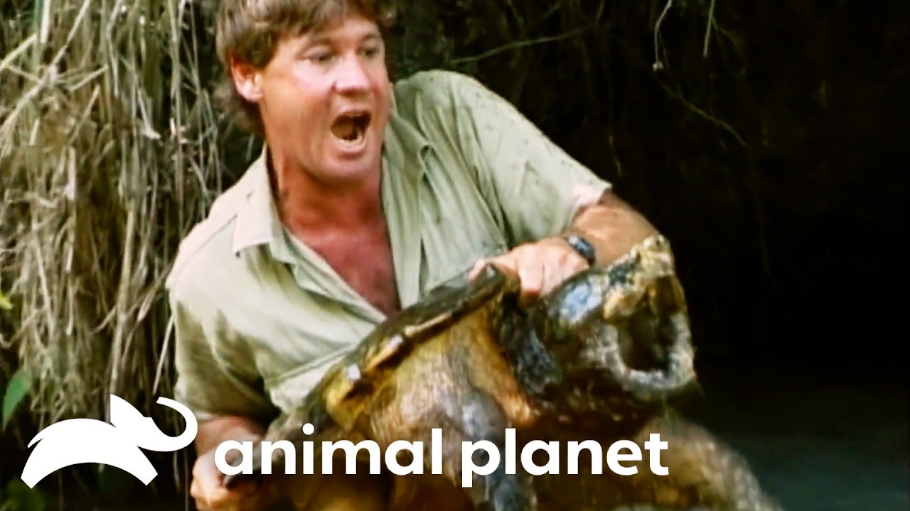 Floridamaxxing | The Crocodile Hunter | Animal Planet