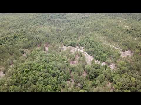 1991B robert reynolds rd cassatt SC