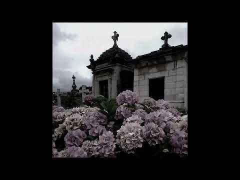 Mareux x Artemas x Darkwave type beat (Prod. Flex Dolph)