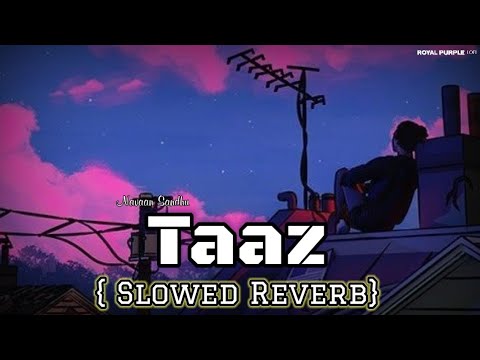 TAAZ LOFI | NAVAAN SANDHU | LOFI REMAKE |  SLOWED REVERB | LATEST PUNJABI LOFI SONG |ROYALPURPLELOFI