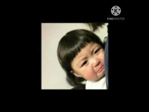 KEKASIH ABADI MR.APAI