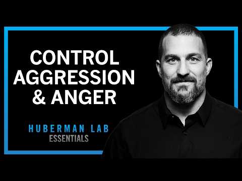 Understanding & Controlling Aggression | Huberman Lab Essentials