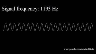 Тест для ушей. 20Hz to 20kHz (Human Audio Spectrum)