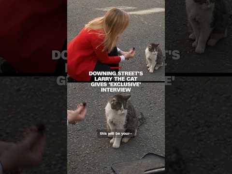Downing Street's Larry the Cat gives 'exclusive' interview
