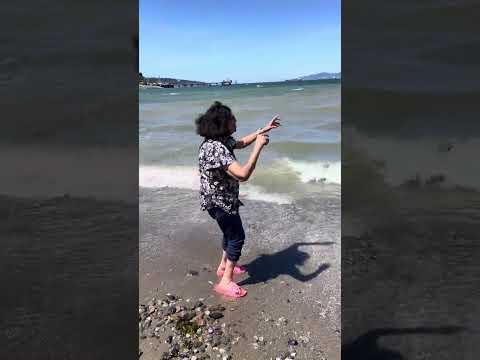 Life is a beach#🏝️⛱️⛱️🏝️🐚#shortvideos #shorts #short #viralvideo