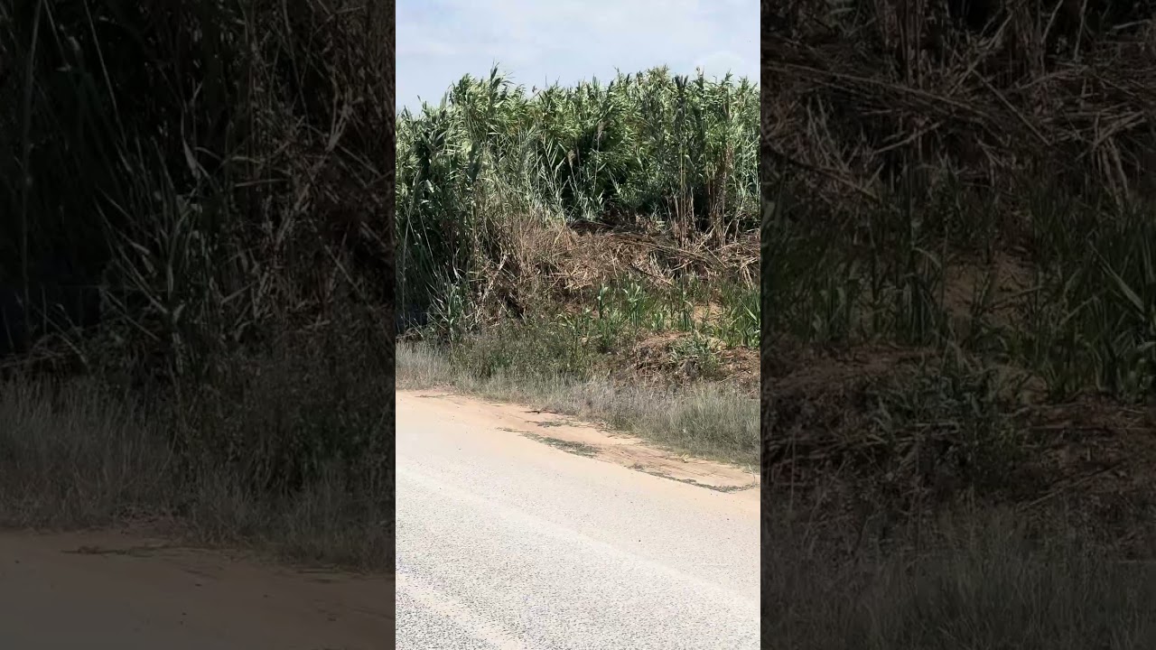 Vídeo do imóvel